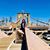Paulina Moreno's profile image