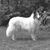 Kathie Bangs's profile image