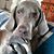Karen Thacker's profile image