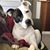 Jillian Sozzoni's profile image