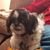 Lillian Robbins's profile image