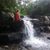 Lisa Young-Clark's profile image