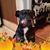 Mark E Mclain's profile image