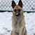 Sherri Roff's profile image