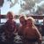 Amanda Olsen's profile image