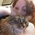 Brittany Wilson's profile image