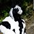 Chris Cochran's profile image