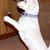 Karen Dianne C Ferguson's profile image