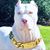 Vashon Lee Page's profile image