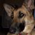 Linda Brannan Burton's profile image