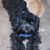 Becky Singer Harness's profile image