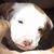 Michelle Miner's profile image