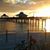 Becki Gosman's profile image