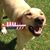 Martha Smith's profile image