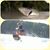 Jim Namorato's profile image