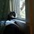 Maureen Lawlor's profile image