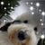 Jerzy Vant Hoff's profile image