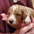 Jim Keelan's profile image