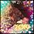 Shirley Carmack's profile image