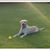 Cathy Covell Melice's profile image