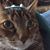 Judy Perry's profile image