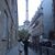 Gia DeCicco's profile image