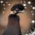 Lisa Barrett's profile image
