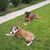 Jacki Hufford Meyers's profile image