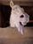 Charles K.'s profile image