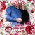 Sandy Laskey's profile image