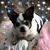 Debbie Arnold's profile image
