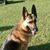 Julie Cauley's profile image