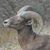 Thomas Barrington's profile image