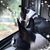 Piper Kinnie's profile image