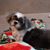 Juanita Lall's profile image