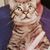 Rachel Crouse's profile image