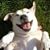 Julie Carrington Hall's profile image