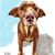Jan Lingle's profile image