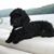 Deana Montgomery's profile image