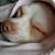 Susan Lindberg's profile image