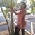 Sharon Davis Jumoke's profile image
