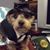Boston Varner's profile image