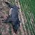 Patrick Hastwell's profile image