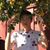 Cody Lei's profile image