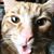 Sarah Thompson's profile image