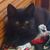 JoAnn Young's profile image