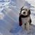 Janis Pasko's profile image