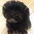 Jennifer Rotar-Craig's profile image