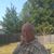 Richard Higgins's profile image