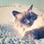 Olive Bean's profile image